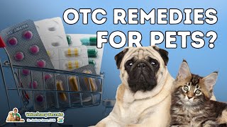 7 OTC Human Medications Safe and Effective for Dogs