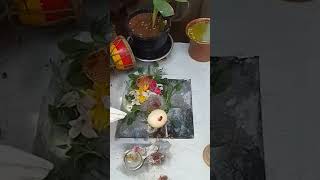 shiva Abhishekam