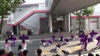 よさこい炎舞連　神陽～ｓｉｎ～　２０１３　第９回四日市やったろ舞　駅前通りパレード会場　演舞