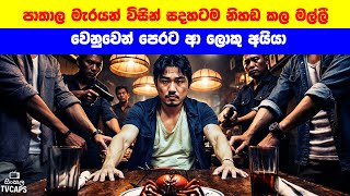 පාතාල මැරයන් විසින් සදහටම නිහඩ කල මල්ලී වෙනුවෙන් පෙරට ආ ලොකු අයියා | Sinhala Film Review