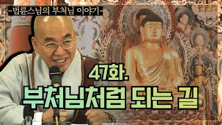 [법륜스님의 부처님이야기] 47화 부처님처럼 되는 길