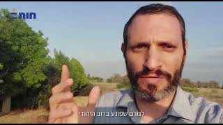 להשיב את חוק השבות ליעודו המקורי- עמיטל בראלי