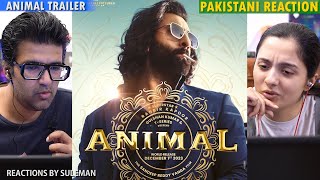 Pakistani Couple Reacts To ANIMAL Trailer | Ranbir Kapoor | Rashmika | Anil K | Bobby Deol