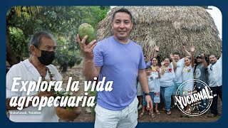 Rituales y creencias en Yucatán (la otra cara del mundo) 😱