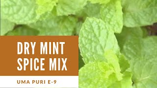 Dry mint spice mix  English Ep 9| Pudina  masala | dry mint in microwave | mint rub| Uma Puri