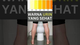 Ketahui Warna Air Kencing Anda: Petunjuk Kesehatan Tubuh #Shorts