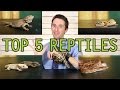 Top 5 Reptiles For Beginners