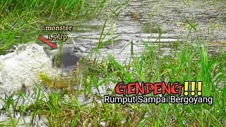 GILAA !! CASTING IKAN GABUS KETIKA AIR SURUT TAK TERDUGA UKURAN MONSTER BERHASIL DI DAPAT #AS-194