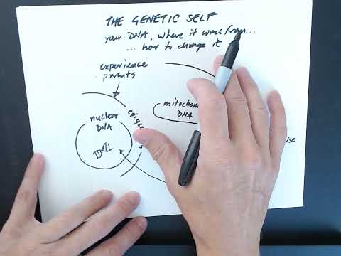 What are the sources of DNA?