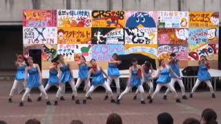 五月祭2013 中夜祭 モダンダンス部 波乗りジョニー