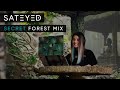 Secret Forest by Sateyed | Downtempo & Organic House Mix