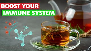 Rosemary Oil: Health Benefits of Rosemary Tea