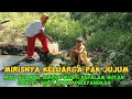 MIRINYA KELUARGA PAK JUJUM MAU NGAMBIL AIRPUN MUSTI KEDALAM HUTAN SANGAT SULIT UNTUK DIBAYANGKAN