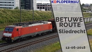 Treinen langs de Betuweroute bij Sliedrecht (Treinen Compilatie)