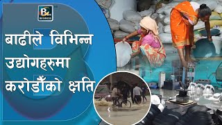 अविरल वर्षाको कारण रुपन्देहीका दर्जनौँ उद्योगहरुमा बाढी ||Rupandehi Flood @businessplustelevision3224