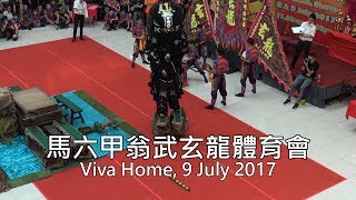 Team #17 馬六甲翁武玄龍體育會 @Viva Home, 9 Jul 17