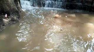 Cute falls in ChithraDurga....☺☺