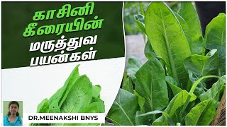 காசினி கீரையின் மருத்துவ பயன்கள் | Kasini Keerai Benefits | Endrum Nalamudan | இயற்கை மருத்துவம்