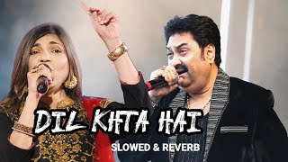 Dil Kehta Hai Chal Unse Mil Slowed And Reverb | Dil Kehta Hai Lofi Song♫