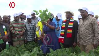 A Tour of President Mnangagwa's Precabe Farm