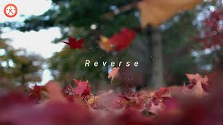 Reverse Playback Effect ⏪⏪ With Kinemaster !🔥👌