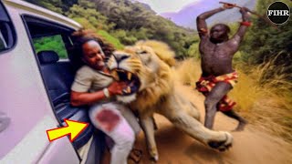 35 SHOCKING When Animals Go On A Rampage! Interesting Animal Moments CAUGHT ON CAMERA #1