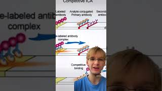 How Do COVID-19 Antigen Tests Actually Work?