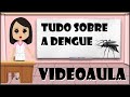 DENGUE - TUDO SOBRE O MOSQUITO