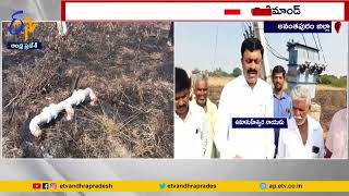 Cotton Crop Burnt Due to Short Circuit | Brahmasamudram