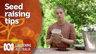 Use these seed raising tips to boost productivity | Gardening 101 | Gardening Australia