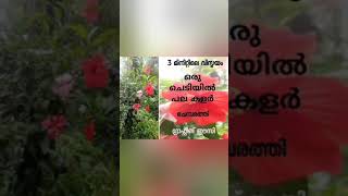 grafting explain 3 mint .grafting in malayalam.