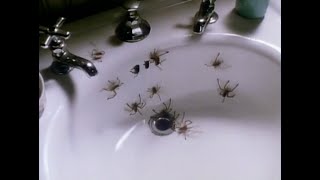 Arachnophobia (1990) Theatrical Trailer