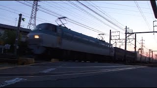 1055レ JR貨物 EF66 108号機 吹田機関区所属 牽引貨物列車 66レ ECO POWER桃太郎 EF210-130号機 岡山機関区所属 牽引貨物列車 東海道本線 草薙駅 清水駅間通過