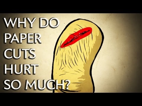 Why Do Paper Cuts Hurt So Much? - Instant Egghead #25 Why Do Paper Cuts Hurt So Much? - Instant Egghead #25