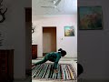 surya namaskar steps by honey.. ❤️ 💕 shorts kids youtubeshorts viralshort suryanamaskar yoga