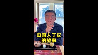 丁龙在捐款条上签名“一个中国人”这是第一次中国人给美国教育捐款，这是美国汉学教育也是世界汉学的开端。 哥伦比亚大学从此成为美国汉学教育和中国研究重镇，这个讯息传回中国，慈禧大悦命清政府向哥伦比亚大学