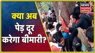 Hoshangabad: महुआ के पेड़ को छूने की लगी होड़, जमकर हुई मारपीट!