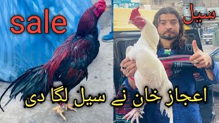 juma bazaar Aseel murgha market  Rawalpindi latest update 2025