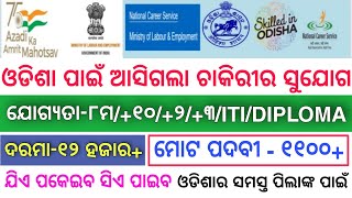 1100+ Vacancy Released By Odisha Government 2022 || No Exam ||  Direct Joining || Odisha latest job