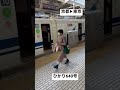 【jr東海道新幹線54】取材拒否 京都▶︎東京ひかり640号7時51分早朝じっくりと見てきた 0903