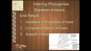 BIOL 4330 Unit 2 1 2 Bayesian Analysis and Markov Chain Monte Carlo