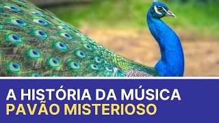 Pavão Misterioso: Descubra a Verdadeira História da Canção