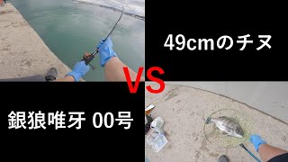 銀狼唯牙00号 VS 49cmのチヌ