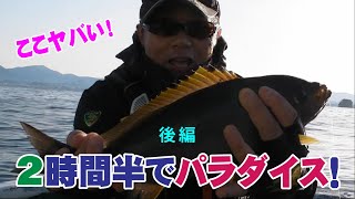 船からフカセ釣りしたら 楽園だった…　和歌山県白浜杓子の瀬でフカセ釣り　七転八釣　後編