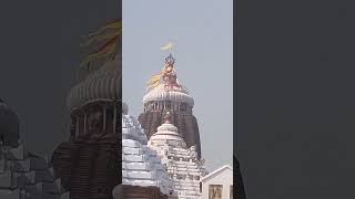 JAY JAGANNATH SINGHA DWARA DARSANA #nature #travel #jagannath