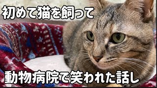 初めて猫を飼ったので、知らなかったんです！病気だと思って駆け込んだ動物病院で、笑われた話し。