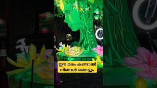 ഈ മരം കണ്ടാൽ നിങ്ങൾ ഞെട്ടും....