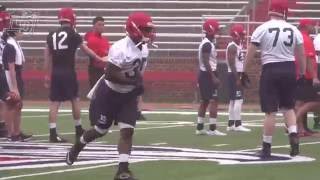 Training Camp Position Preview: Running Backs