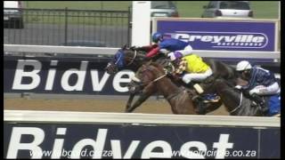 20160921 Greyville Race 1 won by NEWYORKSTATEOFMIND