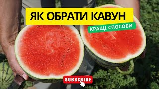 Секрети успішного вибору кавуна: на що треба звернути увагу